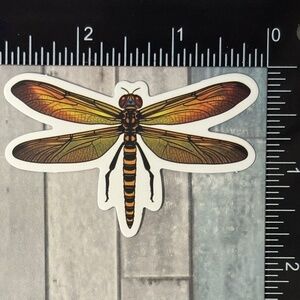 🌀10/$10🌀 Dragonfly Reusable Waterproof Sticker Decal